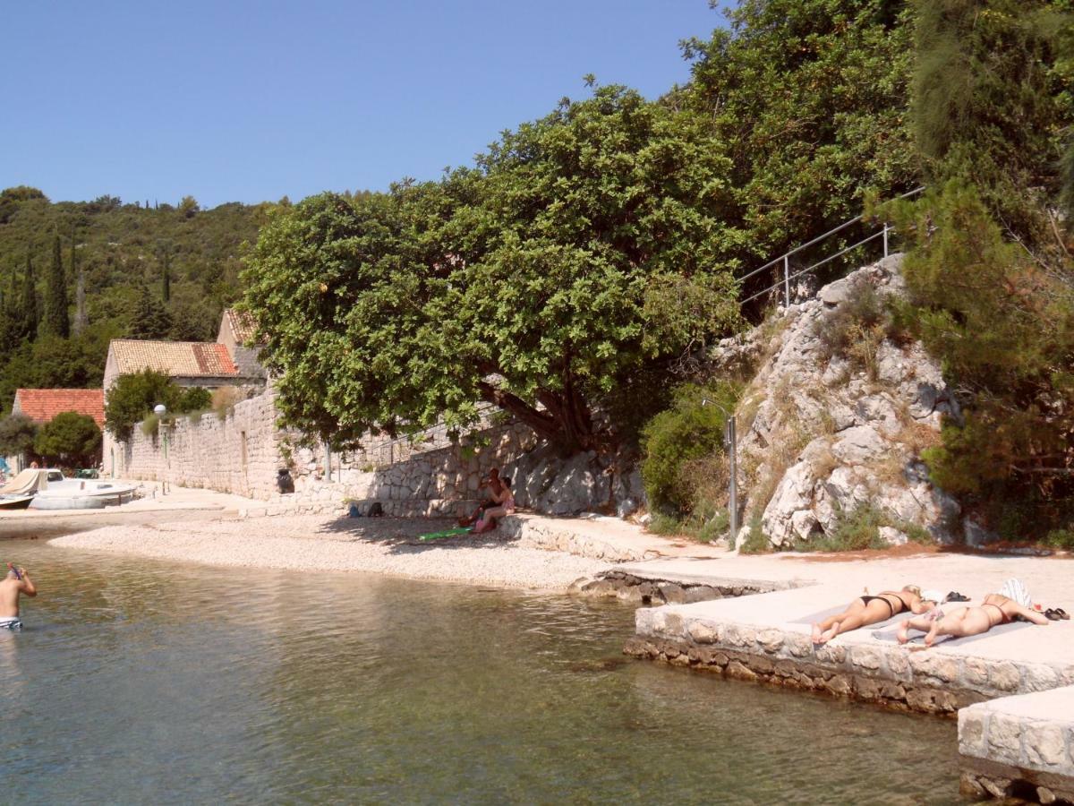 Vesna - Your Best Choice - 80 M From Beach زاتون المظهر الخارجي الصورة